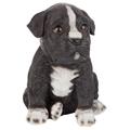 Design Toscano Border Collie Puppy Partner Collectible Dog Statue JQ111032